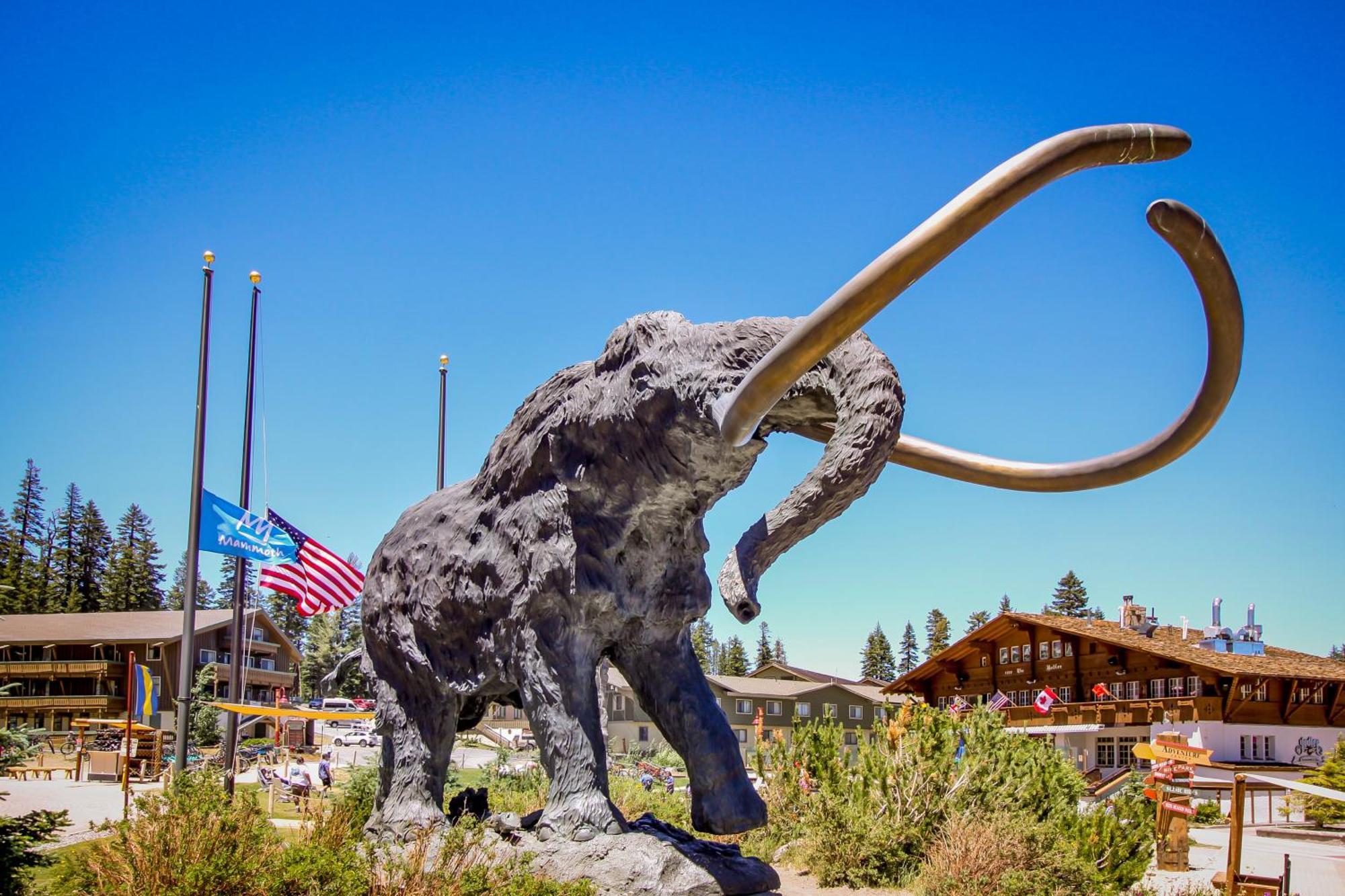 Sierra Manor Escape Mammoth Lakes Quarto foto